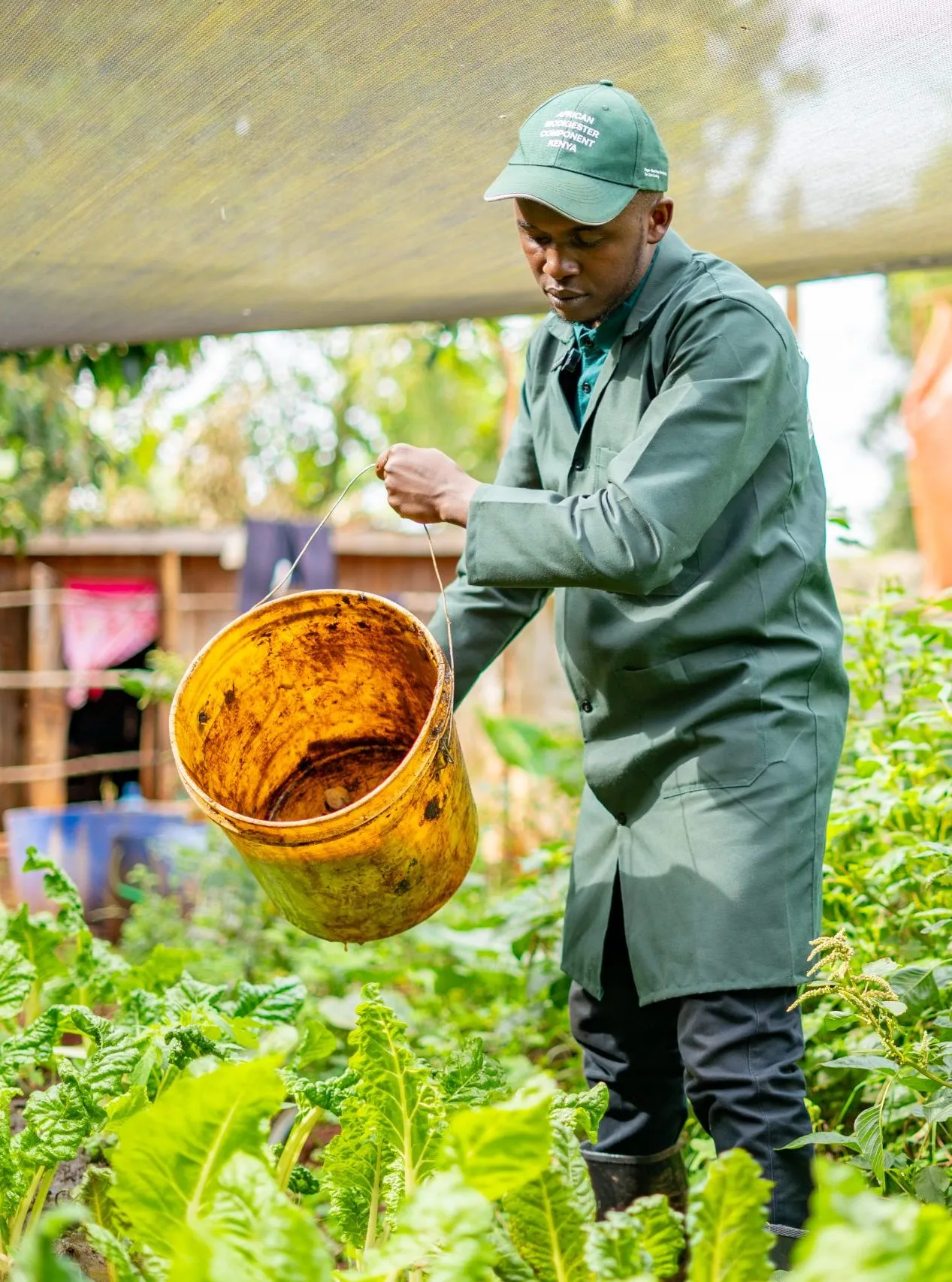 A farmer applying organic inputs to young crops on the model farm