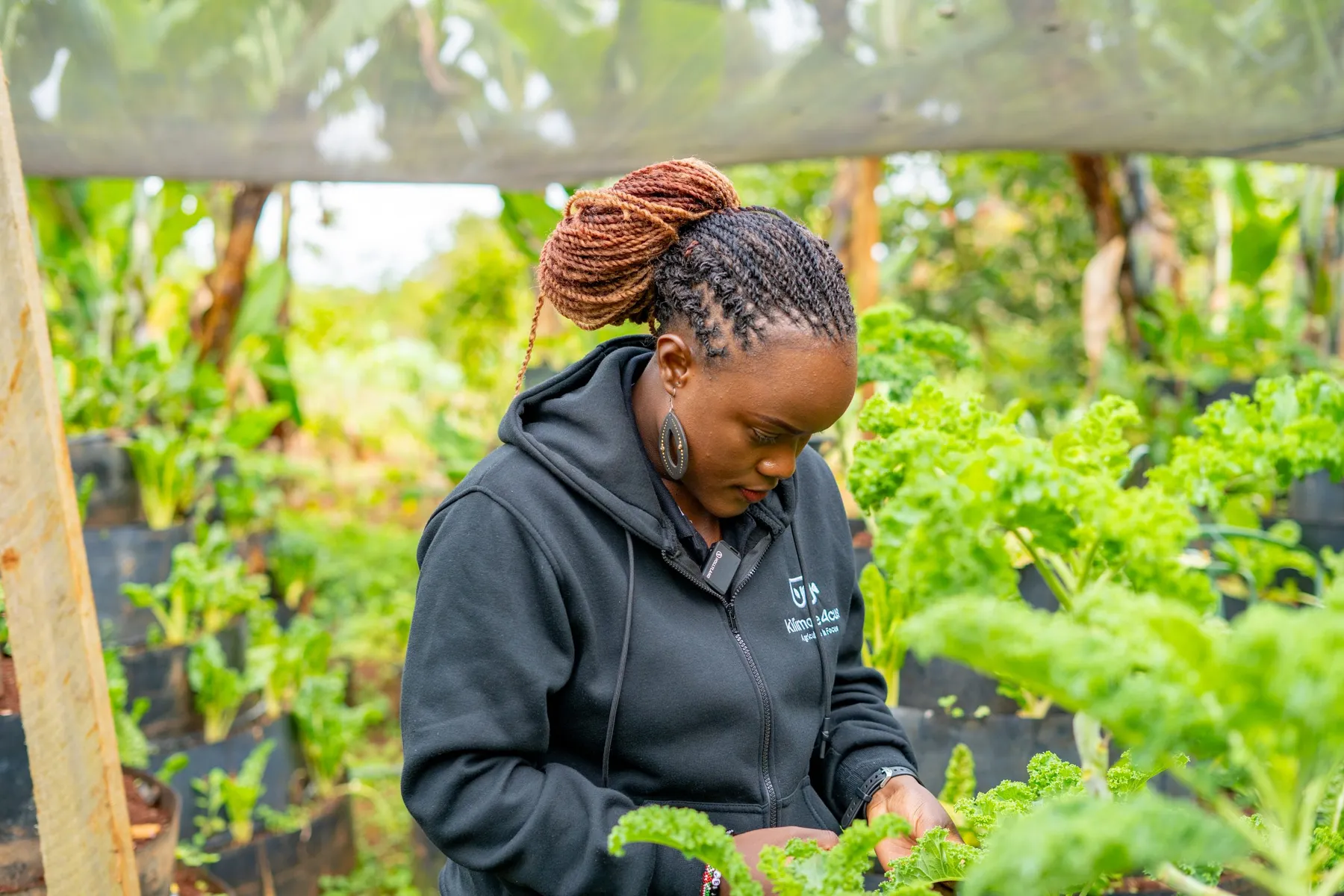 A young agripreneur tending seedlings at the Kilimore4CUS model farm